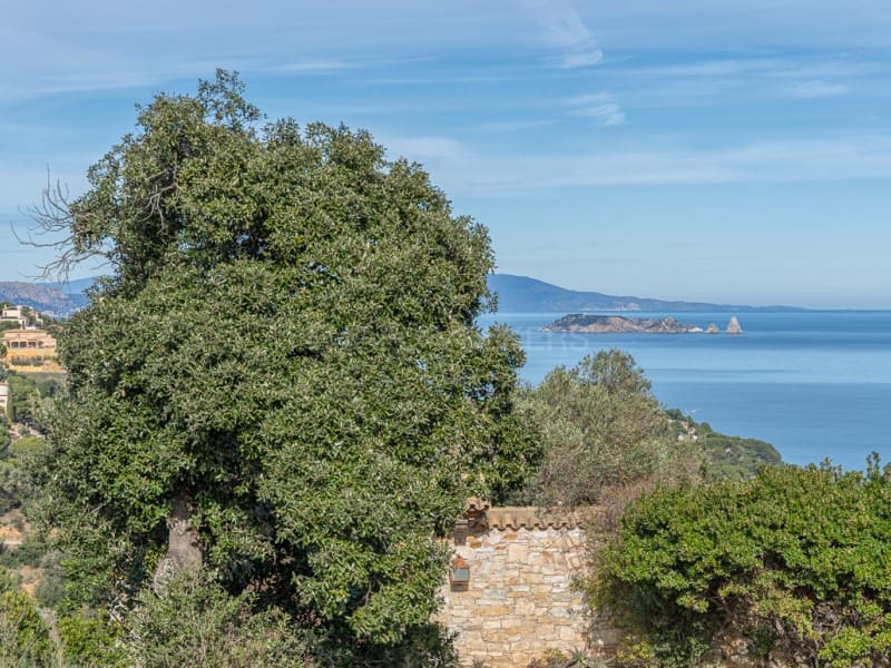 Mark till salu i Begur - 550 000 € (Ref: 9557953)