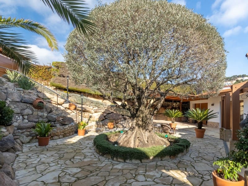 4 sovrum Villa till salu i Blanes med pool garage - 2 950 000 € (Ref: 9674077)