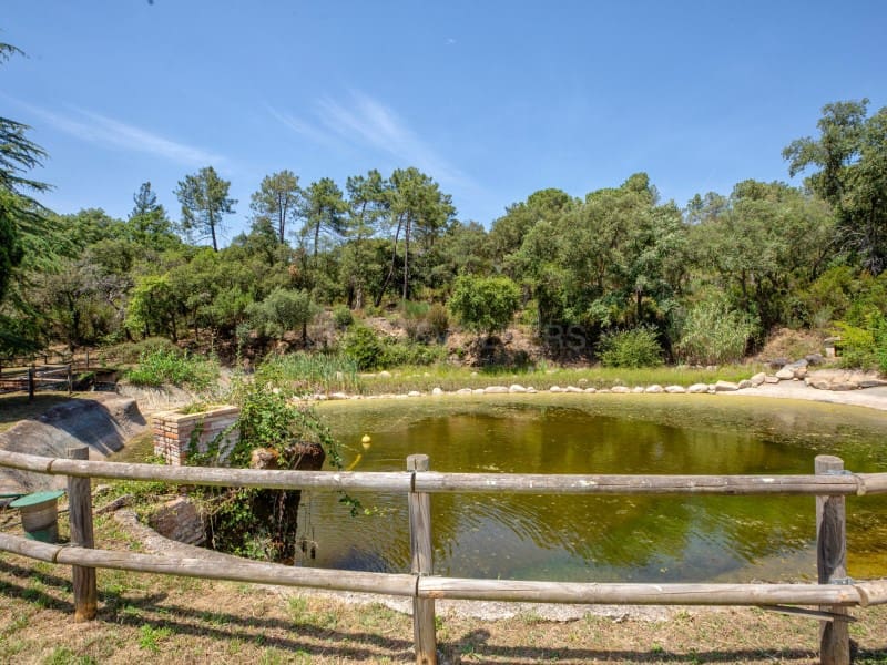 14 bedroom Finca/Country House for sale in Brunyola i Sant Marti Sapresa with pool garage - € 4,875,000 (Ref: 9929065)