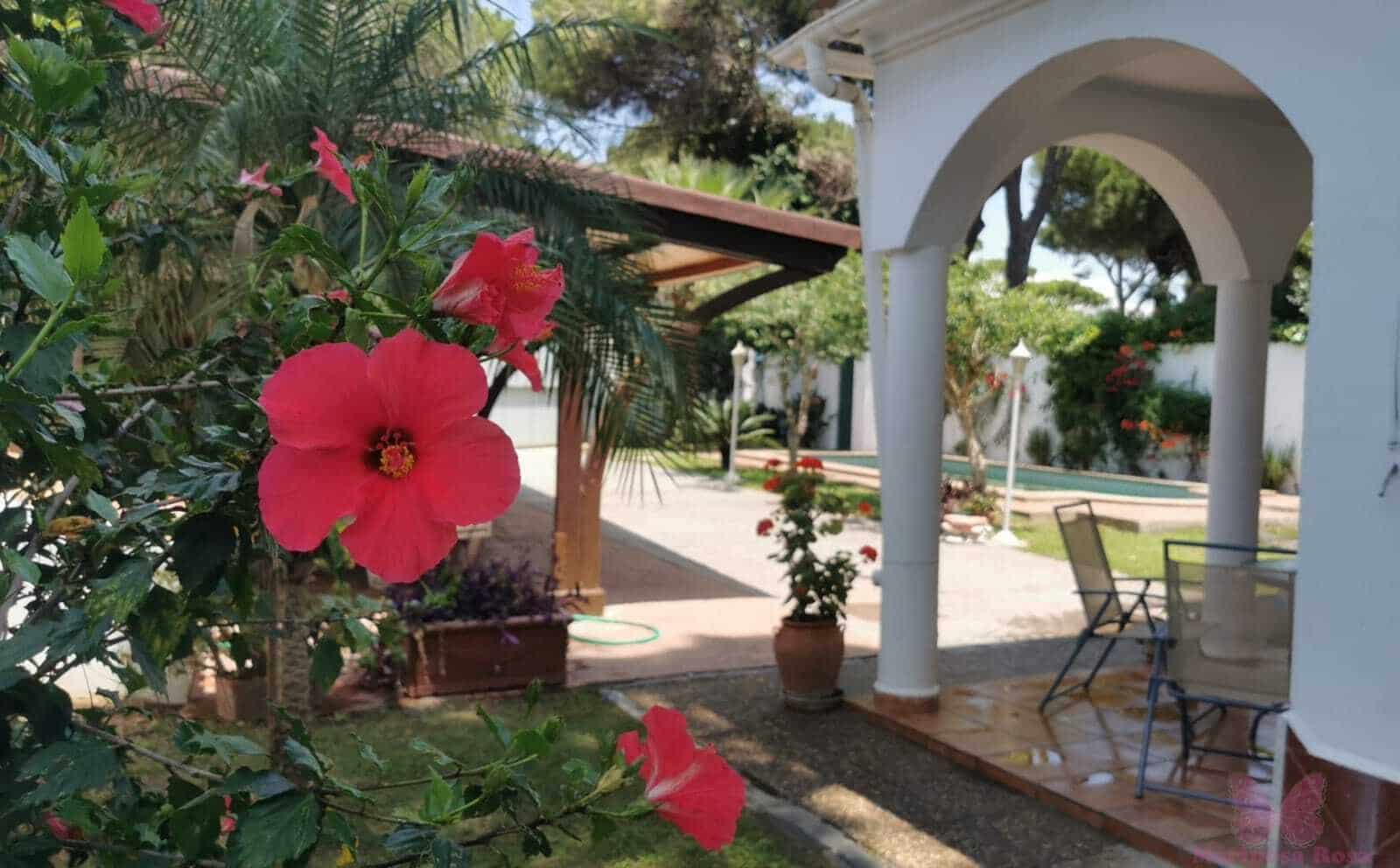 4 quarto Moradia para arrendar em Chiclana de la Frontera com piscina garagem - 950 € (Ref: 10027552)