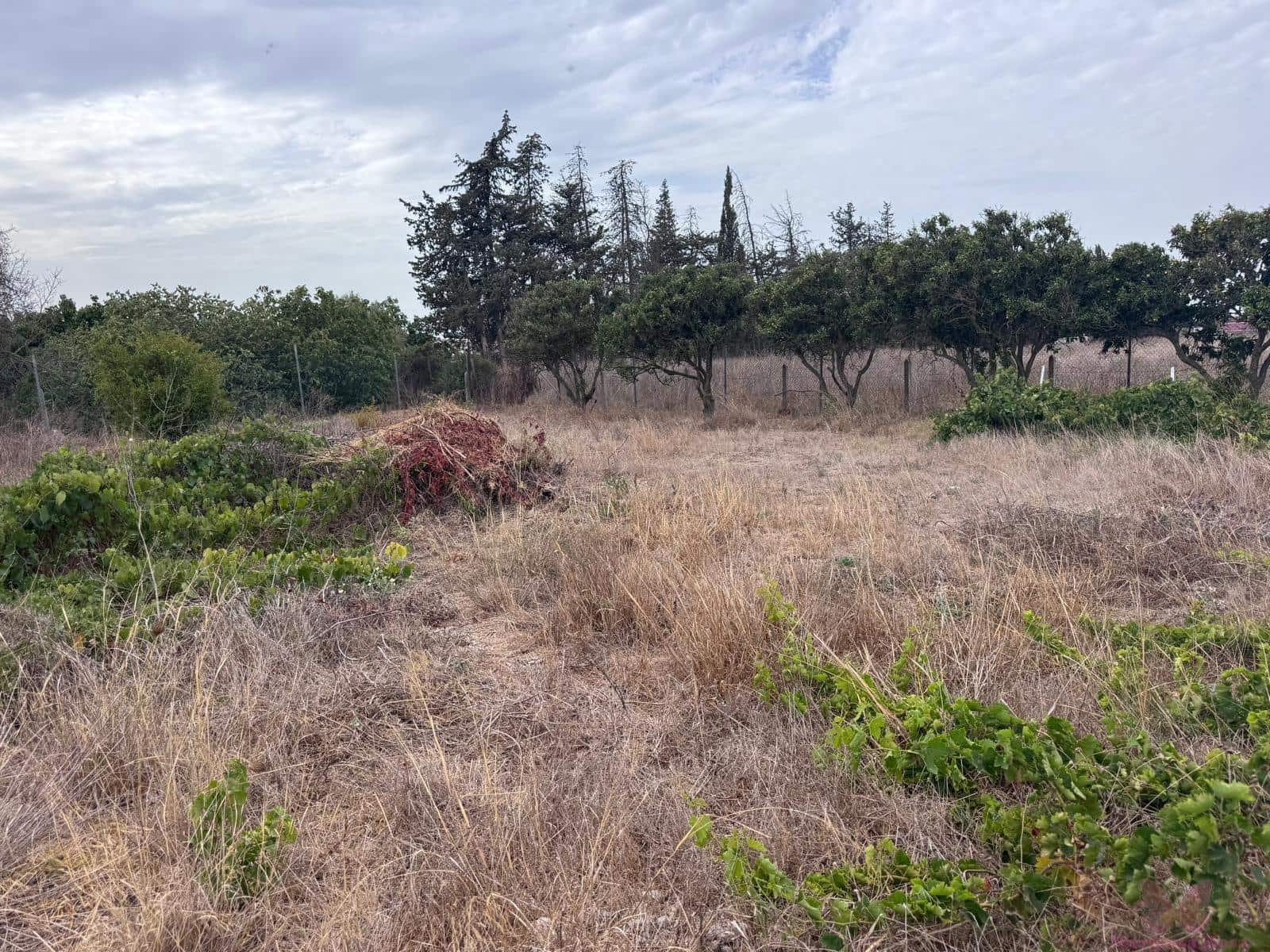 4 slaapkamer Finca/Landhuis te koop in Chiclana de la Frontera met zwembad garage - € 280.000 (Ref: 9753760)