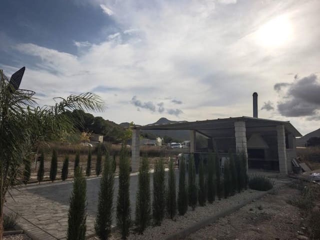 Terreno Não Urbanizado para venda em Aspe - 99 000 € (Ref: 10139917)
