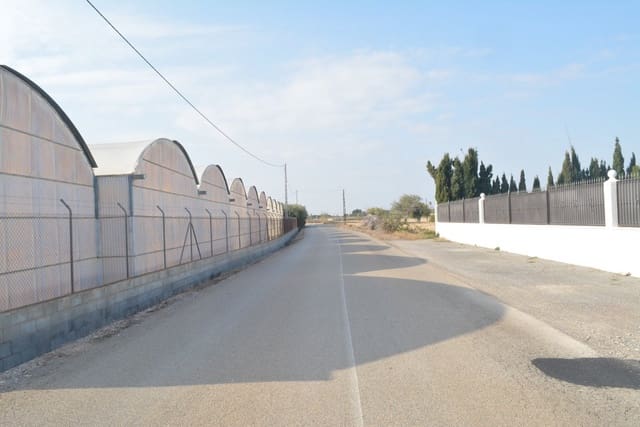 Grunde uden byggetilladelser til leje i Torrellano, Elche / Elx - € 4.000 (Ref: 6648228)