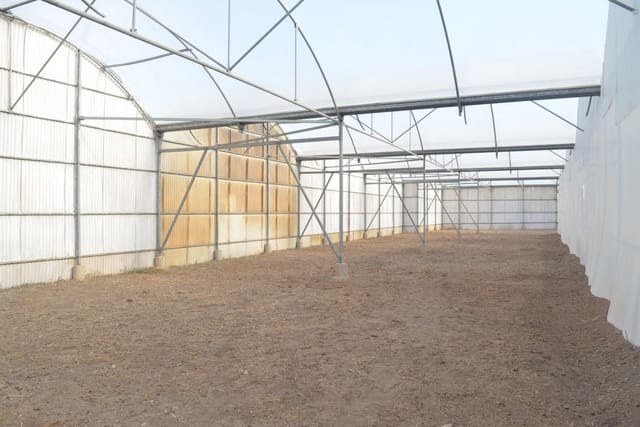 Grunde uden byggetilladelser til leje i Torrellano, Elche / Elx - € 4.000 (Ref: 6648228)