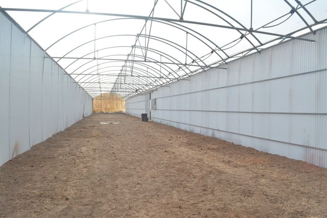 Grunde uden byggetilladelser til leje i Torrellano, Elche / Elx - € 4.000 (Ref: 6648228)