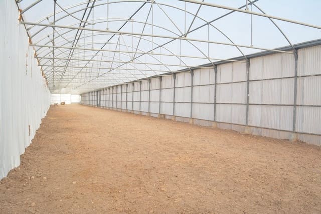 Grunde uden byggetilladelser til leje i Torrellano, Elche / Elx - € 4.000 (Ref: 6648228)