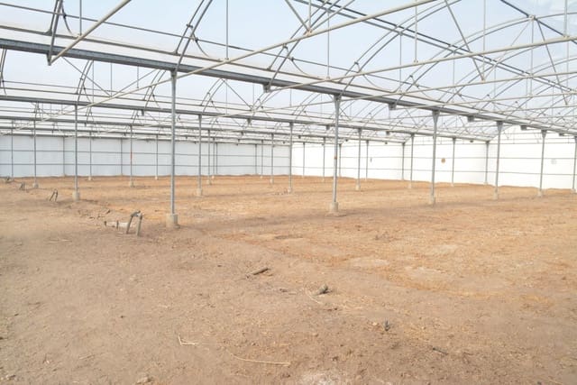 Grunde uden byggetilladelser til leje i Torrellano, Elche / Elx - € 4.000 (Ref: 6648228)