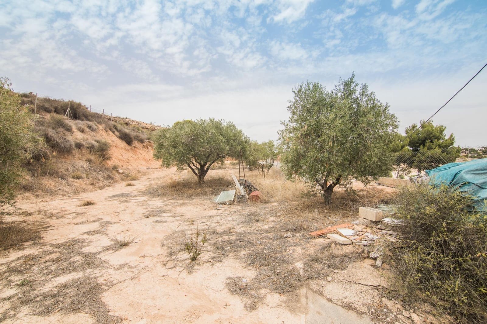 5 chambre Villa/Maison à vendre à Elche / Elx avec piscine - 390 000 € (Ref: 8426335)