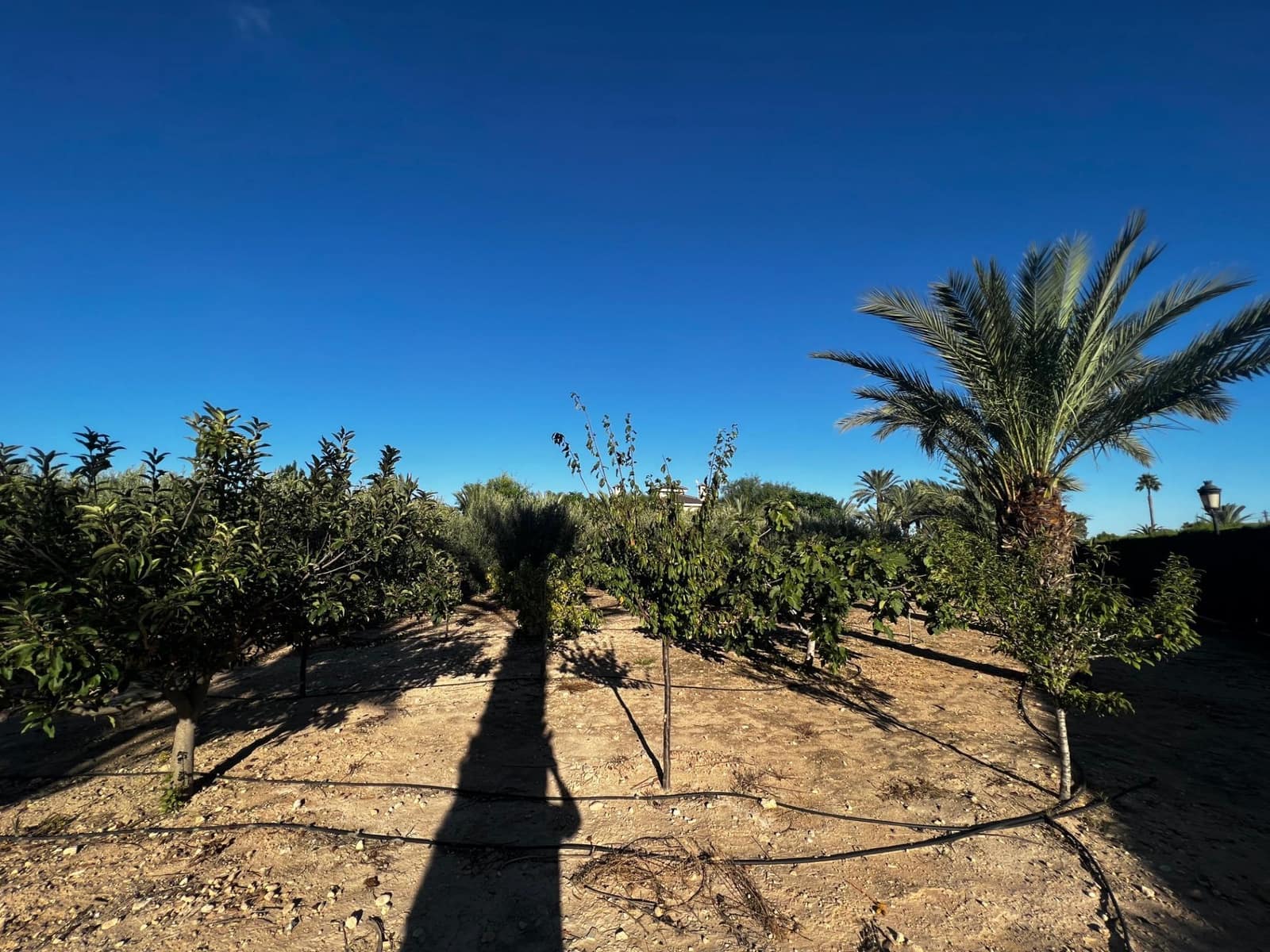 6 bedroom Villa for sale in Perleta with pool garage - € 950,000 (Ref: 8699853)