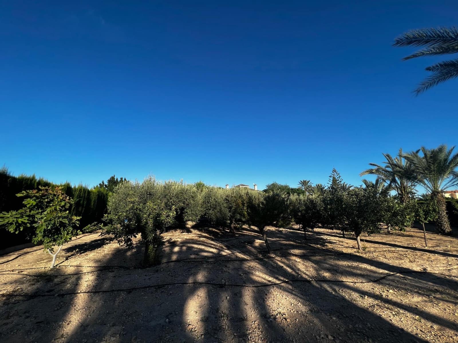 6 bedroom Villa for sale in Perleta with pool garage - € 950,000 (Ref: 8699853)