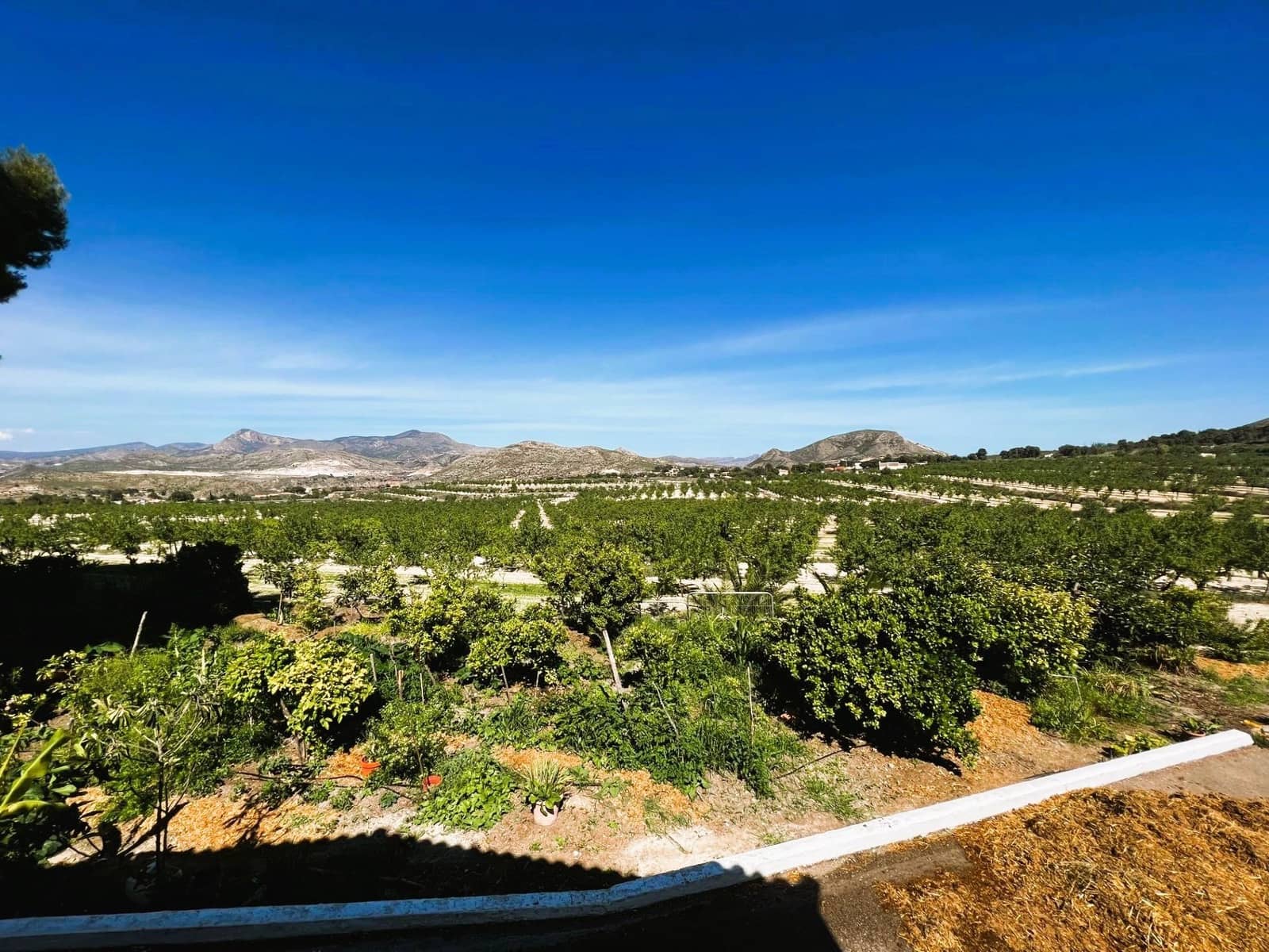 13 soveværelse Finca/Landehus til salg i Monovar / Monover med swimmingpool garage - € 7.000.000 (Ref: 8699855)