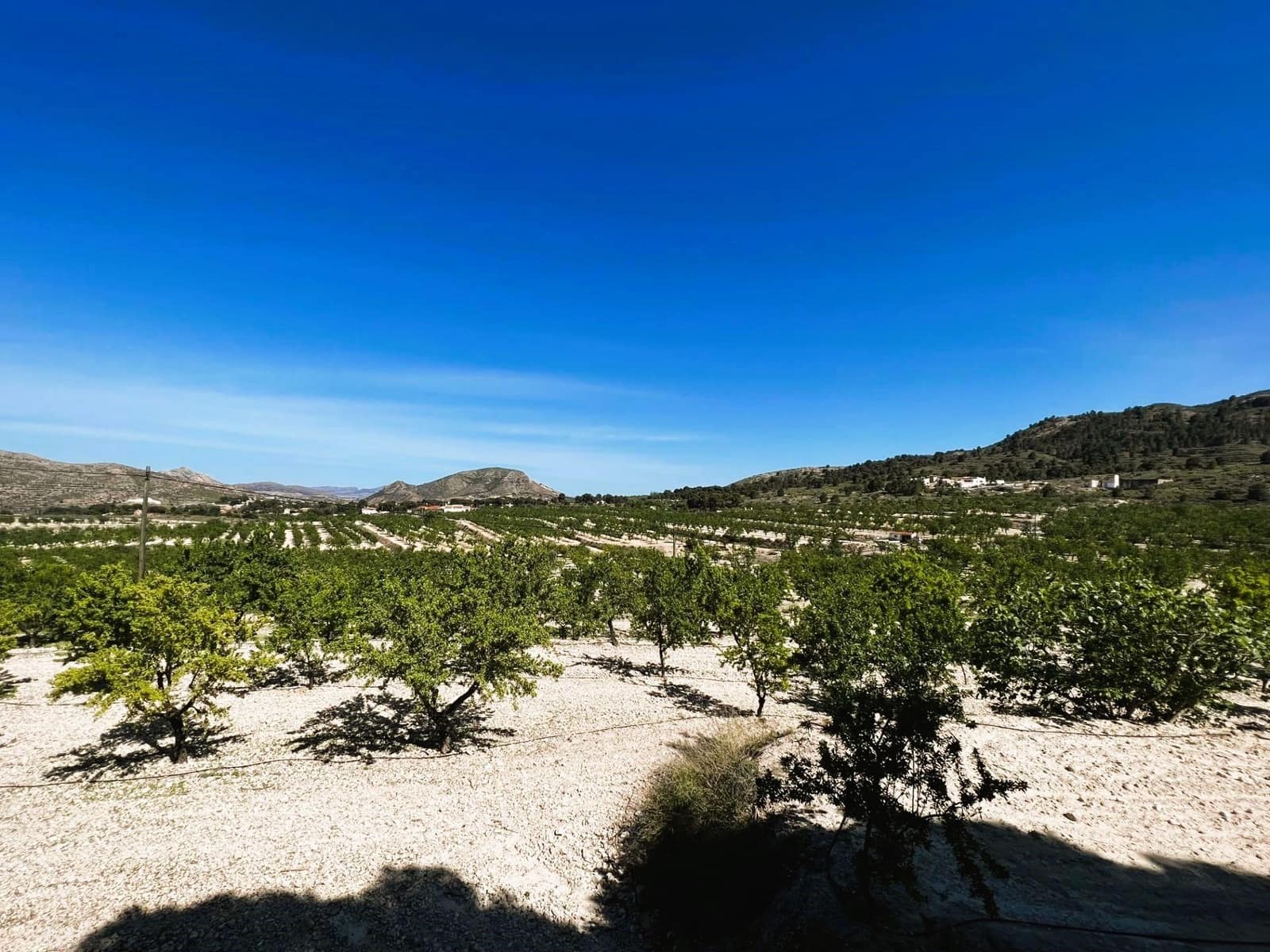 13 soveværelse Finca/Landehus til salg i Monovar / Monover med swimmingpool garage - € 7.000.000 (Ref: 8699855)