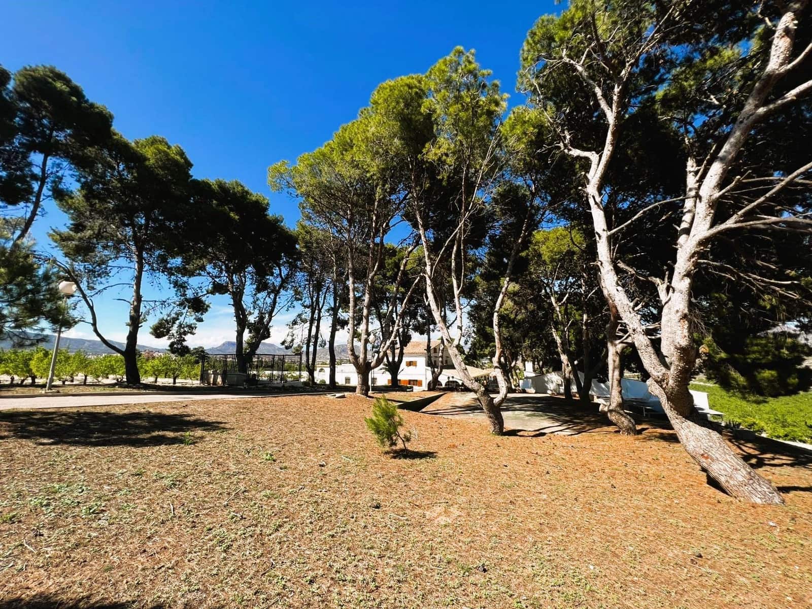 13 soveværelse Finca/Landehus til salg i Monovar / Monover med swimmingpool garage - € 7.000.000 (Ref: 8699855)