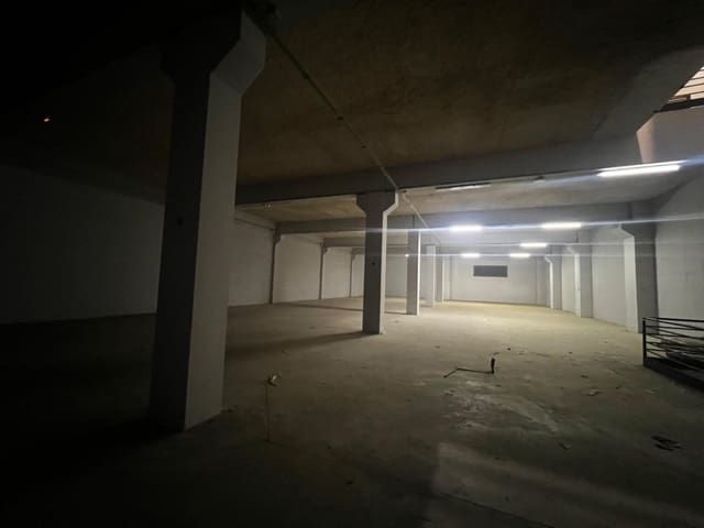 Business for sale in Elche / Elx - € 5,990,000 (Ref: 8699883)