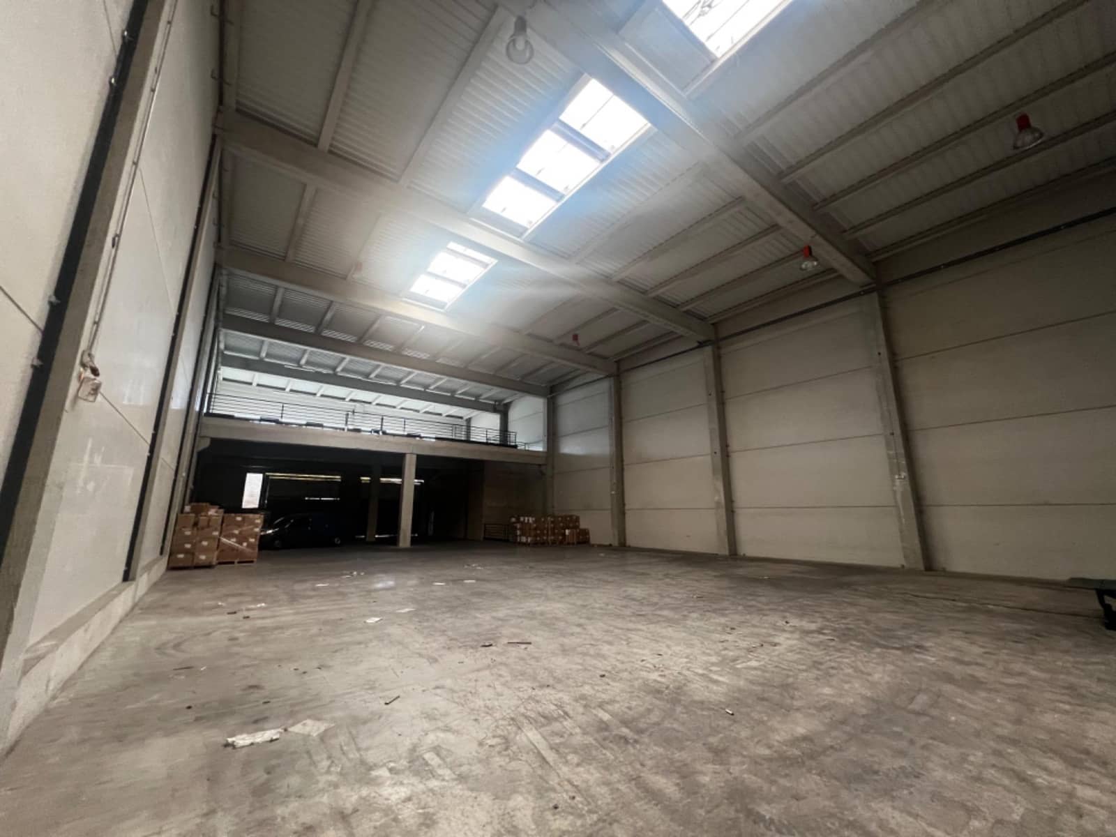 Business for sale in Elche / Elx - € 5,990,000 (Ref: 8699883)