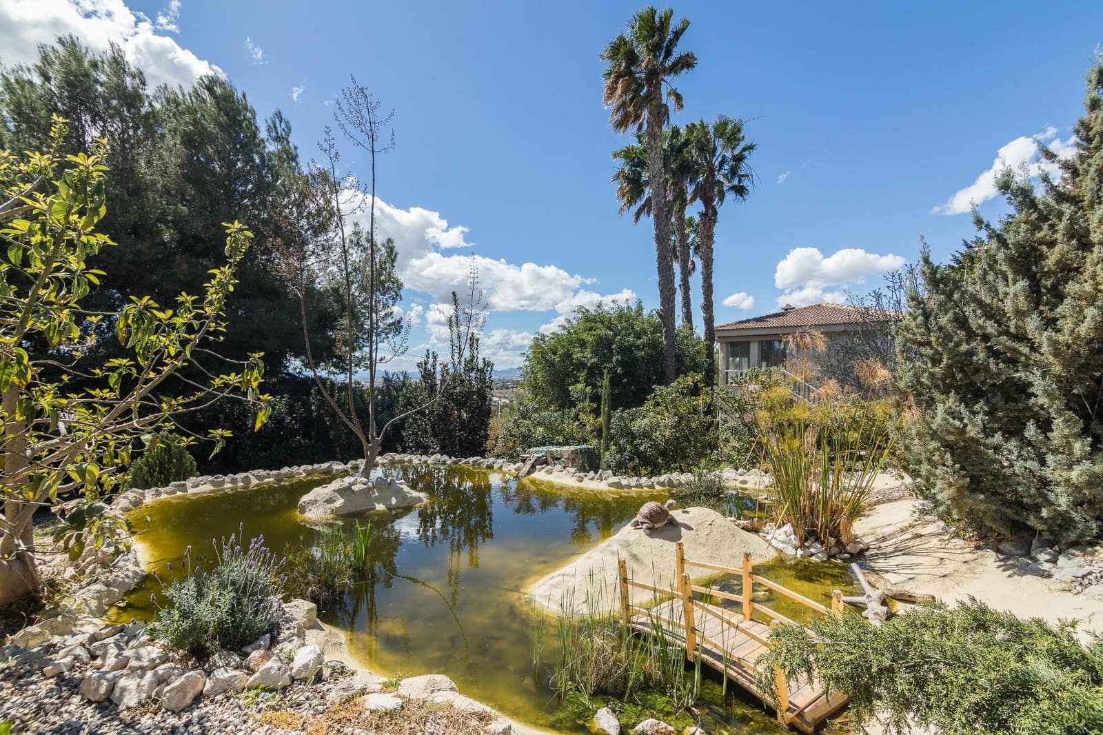 4 sypialnia Willa na sprzedaż w Elche / Elx z basenem - 750 000 € (Ref: 8916163)