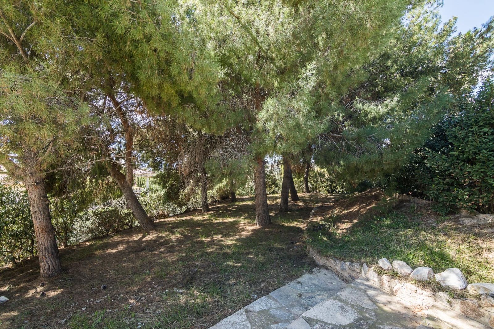 4 sypialnia Willa na sprzedaż w Elche / Elx z basenem - 750 000 € (Ref: 8916163)