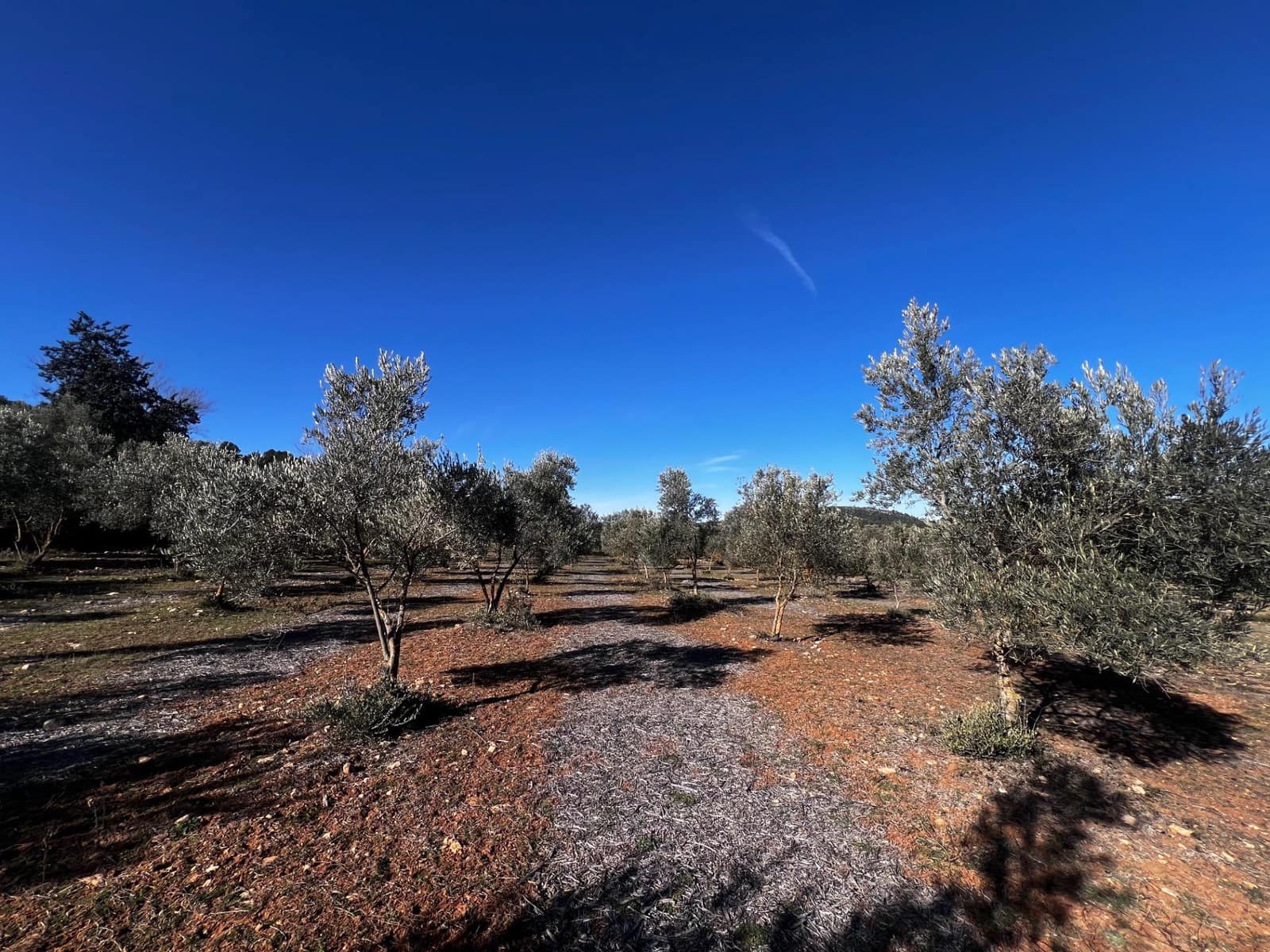 5 soverom Finca/Herregård til salgs i Bocairent med garasje - € 1 400 000 (Ref: 8921578)