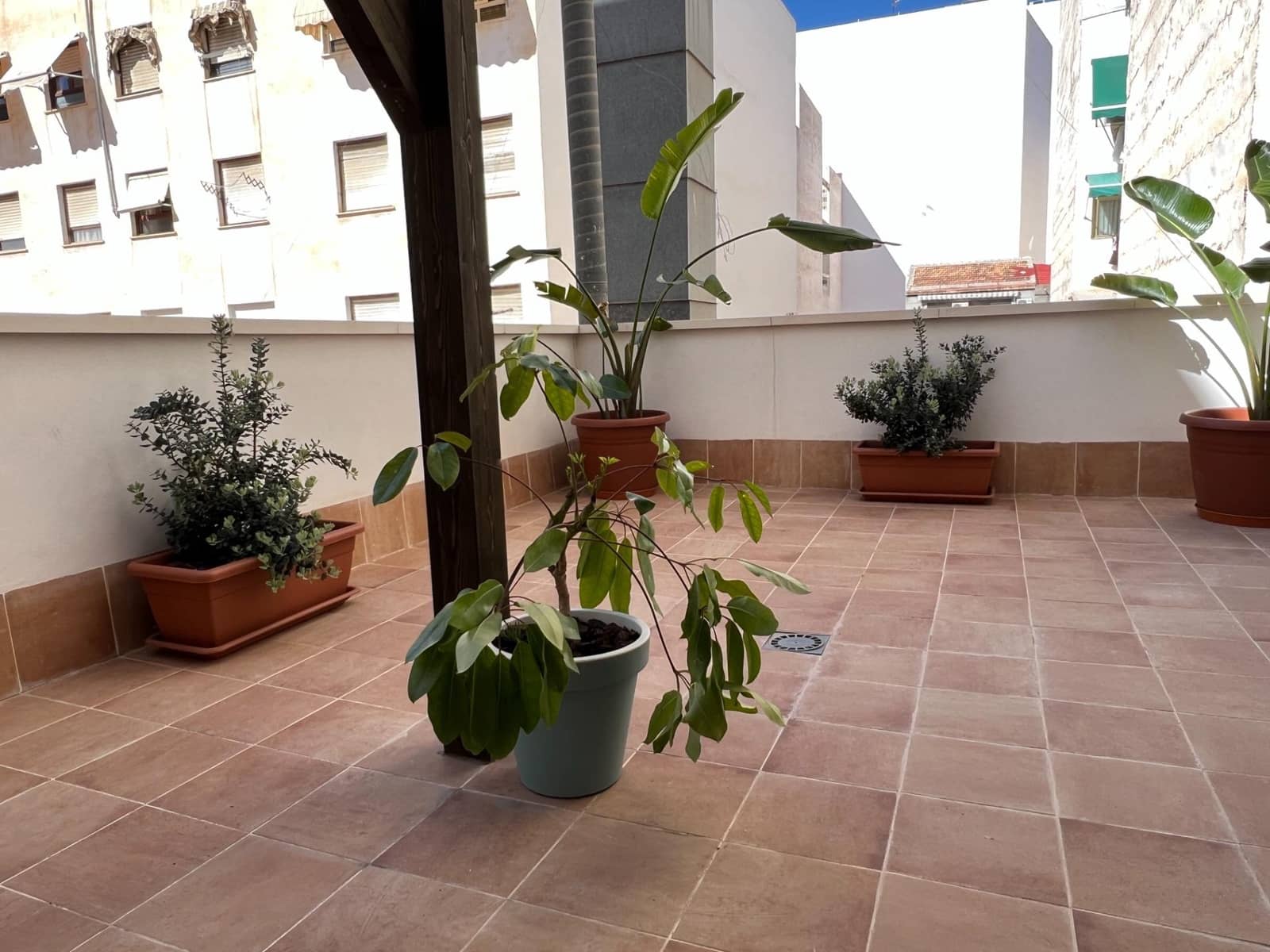 2 quarto Apartamento para arrendar em Elche / Elx - 790 € (Ref: 8926286)