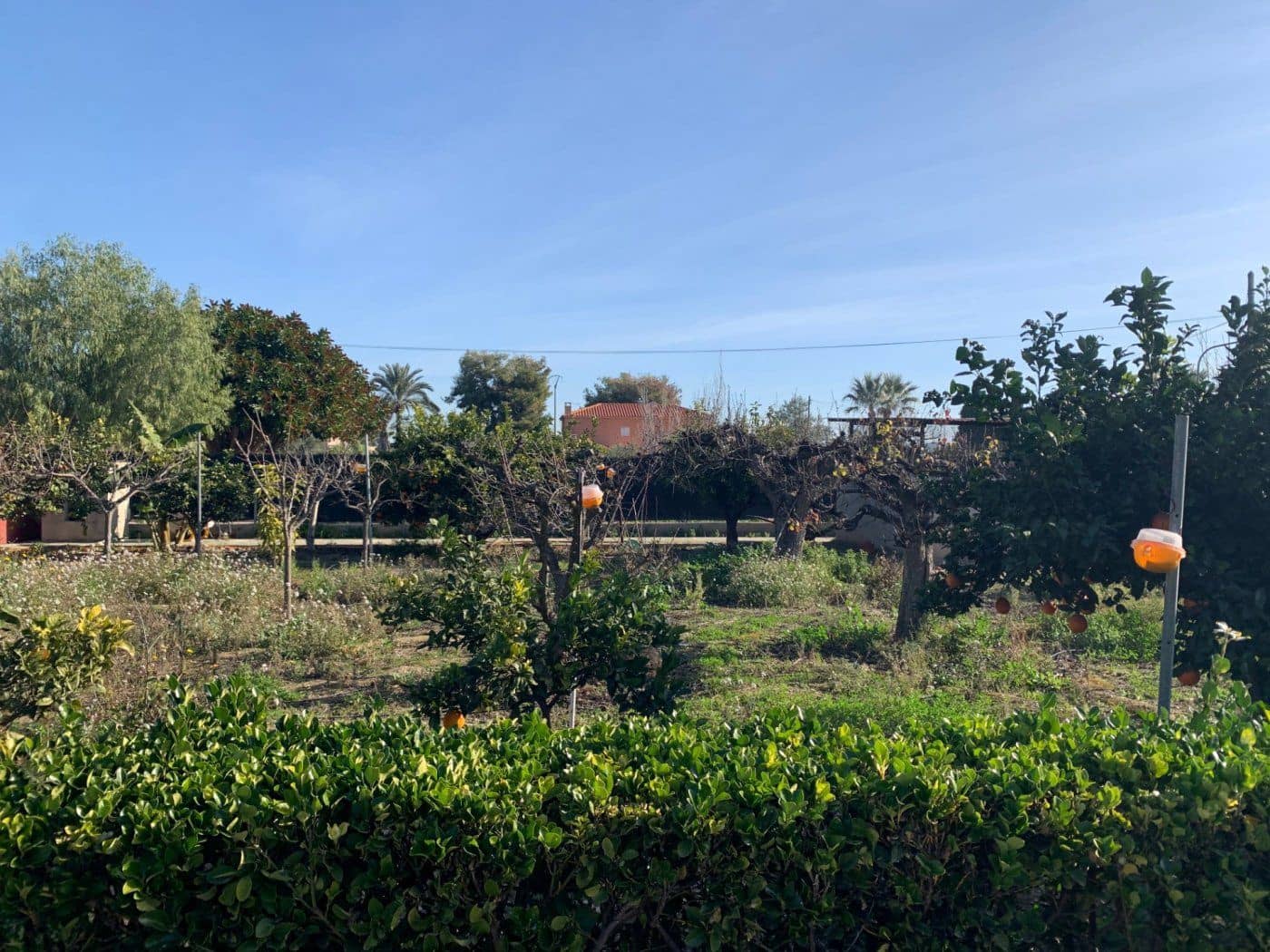 6 slaapkamer Villa te koop in Elche / Elx met zwembad - € 599.900 (Ref: 8938596)