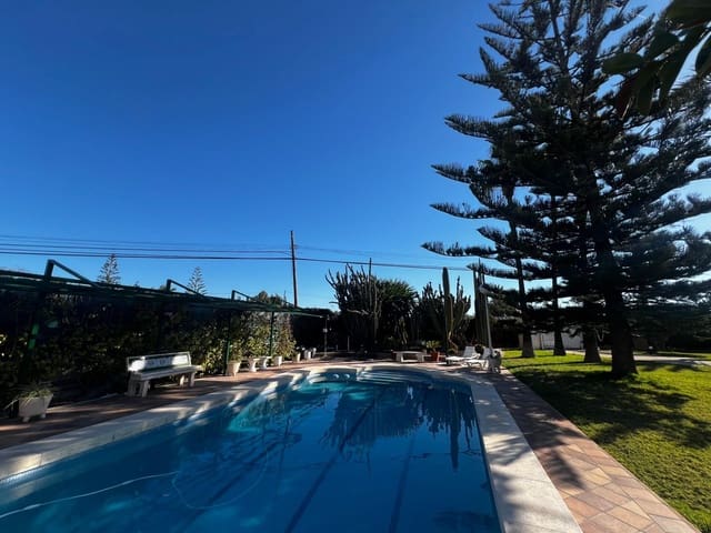 5 Zimmer Villa zu verkaufen in Elche / Elx mit Pool - 700.000 € (Ref: 8938597)