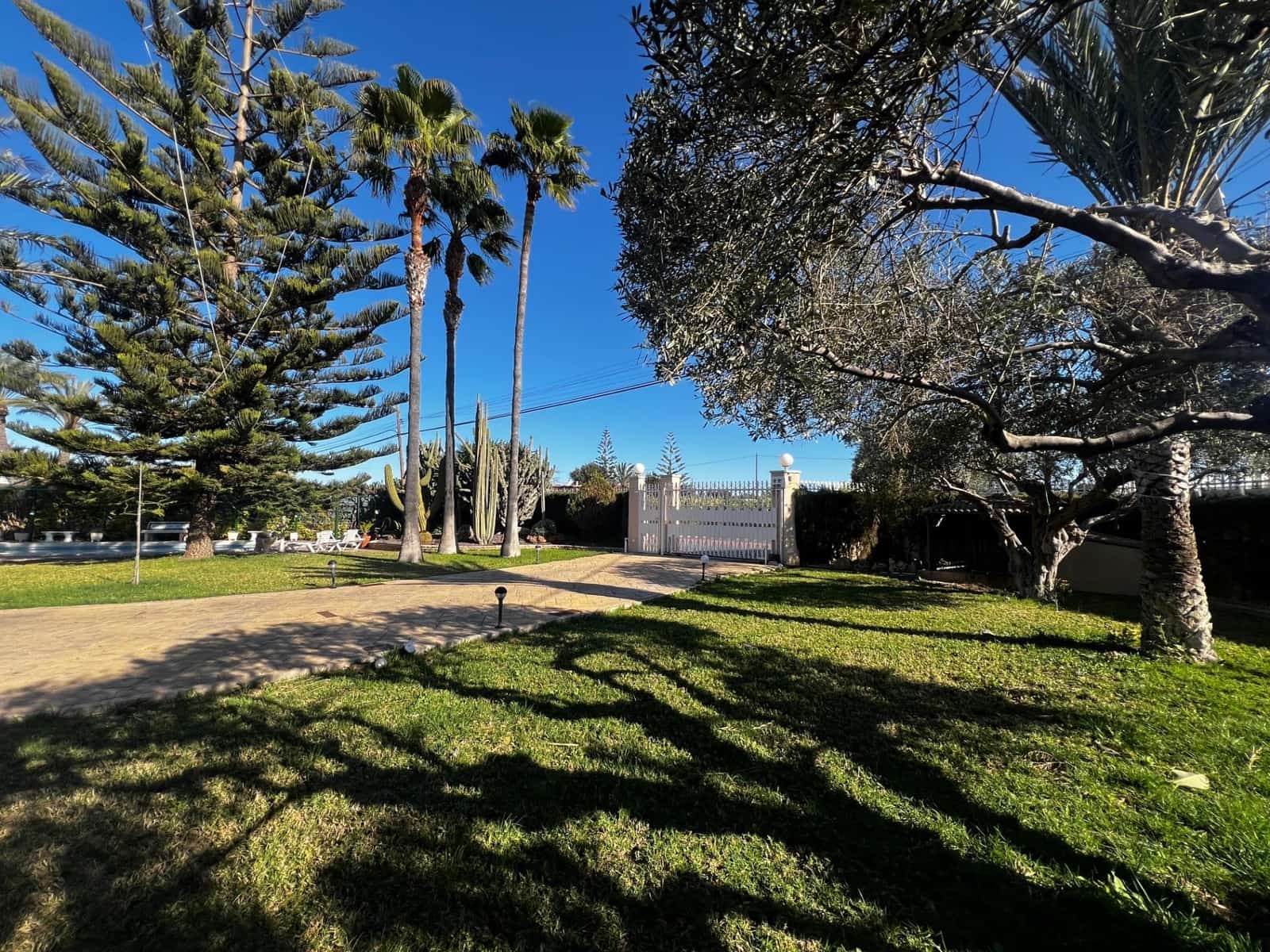 5 sypialnia Willa na sprzedaż w Elche / Elx z basenem - 700 000 € (Ref: 8938597)