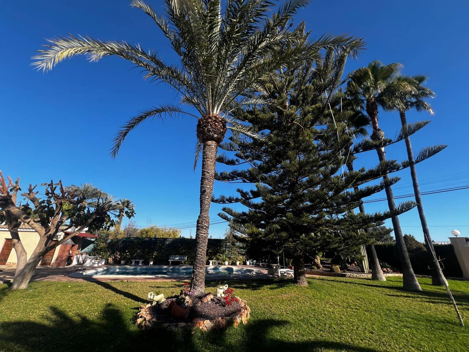 5 sypialnia Willa na sprzedaż w Elche / Elx z basenem - 700 000 € (Ref: 8938597)