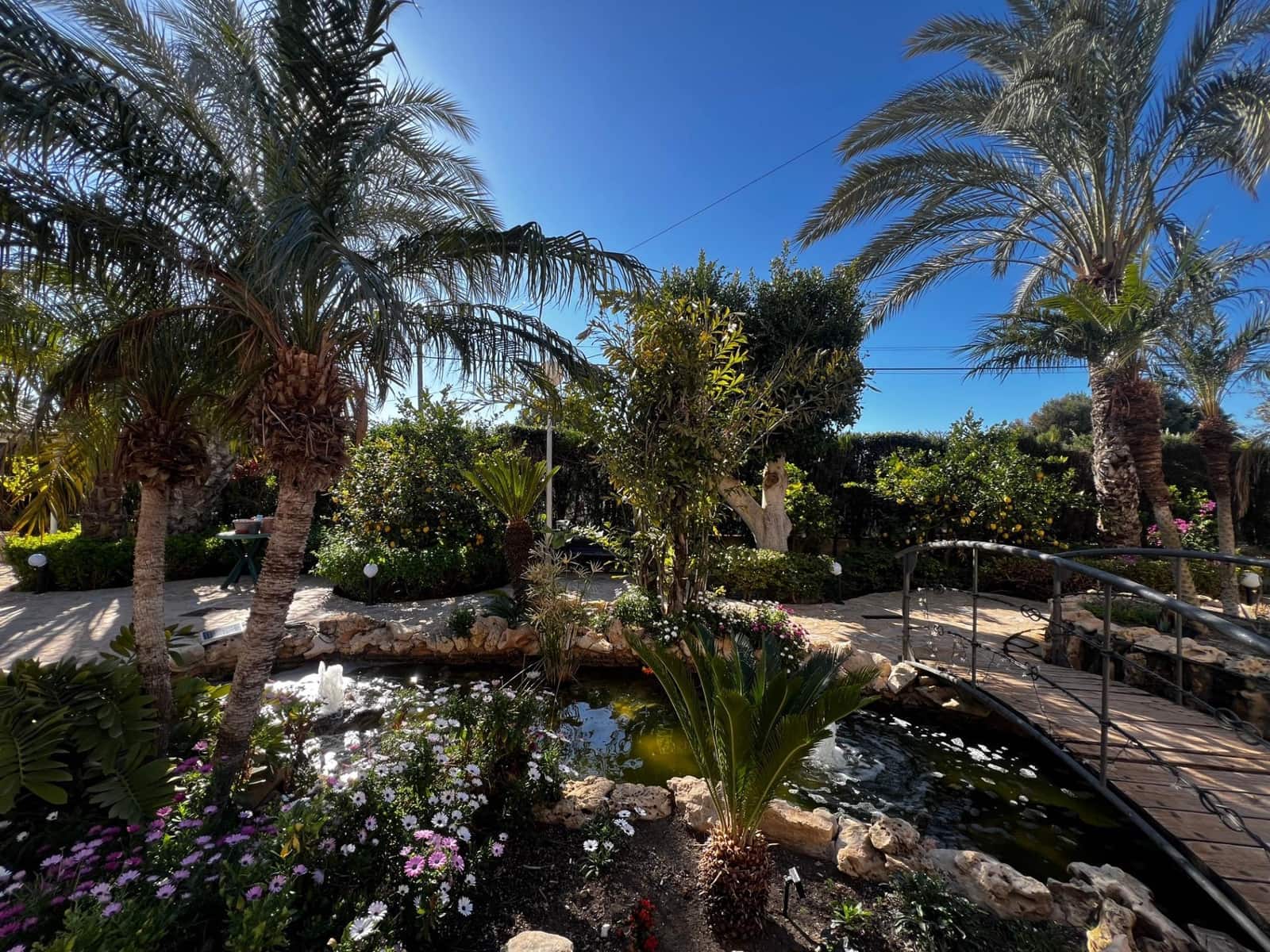 5 sypialnia Willa na sprzedaż w Elche / Elx z basenem - 700 000 € (Ref: 8938597)