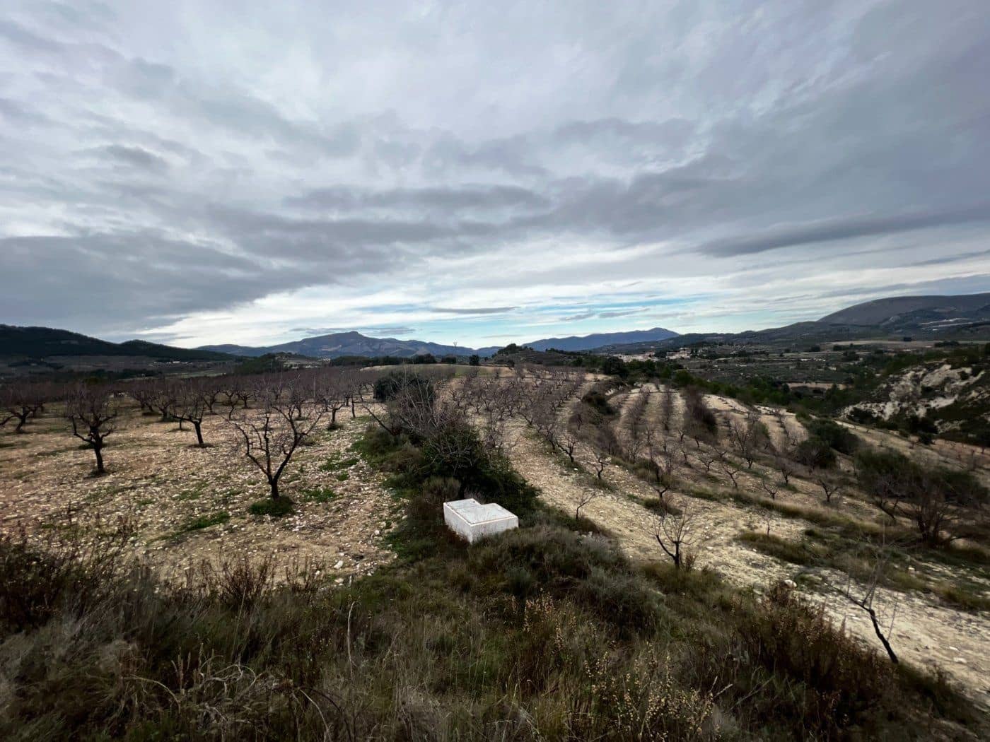 9 soveværelse Finca/Landehus til salg i Penaguila med swimmingpool garage - € 2.500.000 (Ref: 8946164)