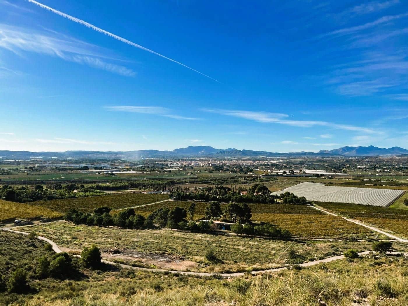 6 soveværelse Finca/Landehus til salg i Novelda med swimmingpool garage - € 6.000.000 (Ref: 8946165)