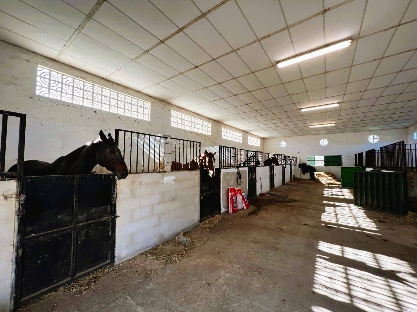 6 soveværelse Finca/Landehus til salg i Novelda med swimmingpool garage - € 6.000.000 (Ref: 8946165)