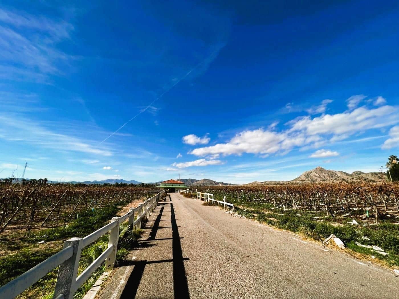 6 soveværelse Finca/Landehus til salg i Novelda med swimmingpool garage - € 6.000.000 (Ref: 8946165)