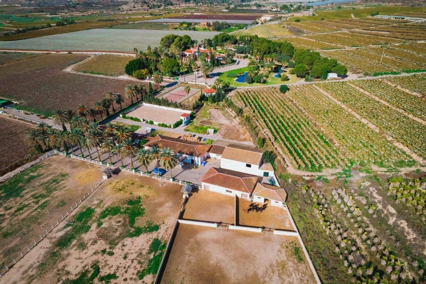 6 soveværelse Finca/Landehus til salg i Novelda med swimmingpool garage - € 6.000.000 (Ref: 8946165)