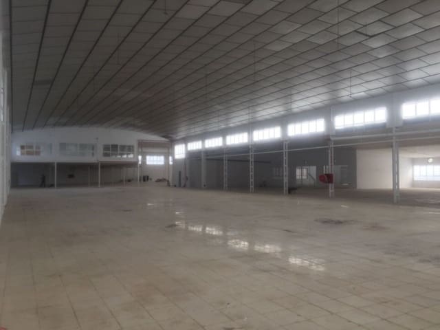 Azienda in vendita in Elche / Elx - 3.300.000 € (Rif: 8946173)