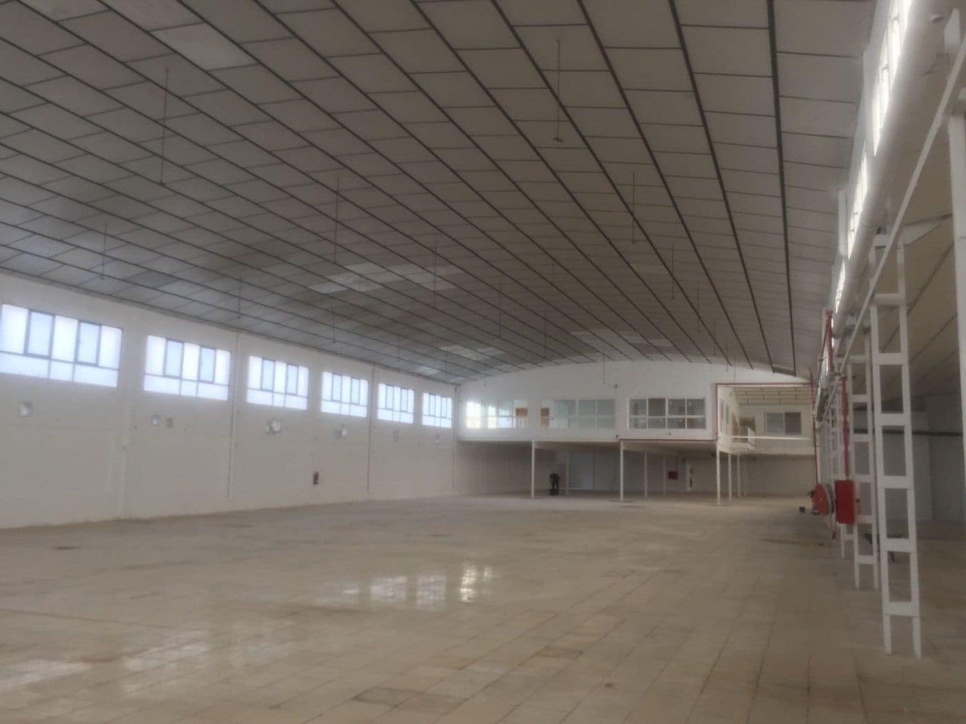 Entreprise à vendre à Elche / Elx - 3 300 000 € (Ref: 8946173)