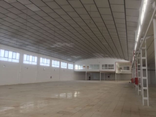 Azienda in vendita in Elche / Elx - 3.300.000 € (Rif: 8946173)