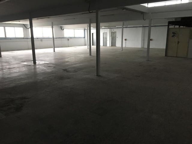 Azienda in vendita in Alzabares, Elche / Elx - 3.100.000 € (Rif: 8992740)