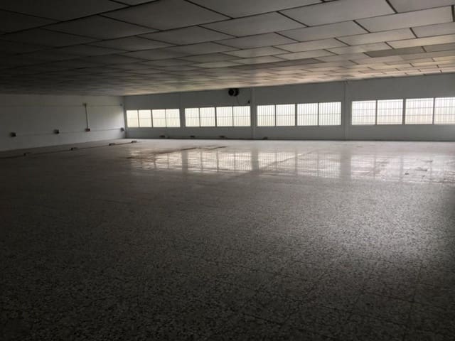 Azienda in vendita in Alzabares, Elche / Elx - 3.100.000 € (Rif: 8992740)