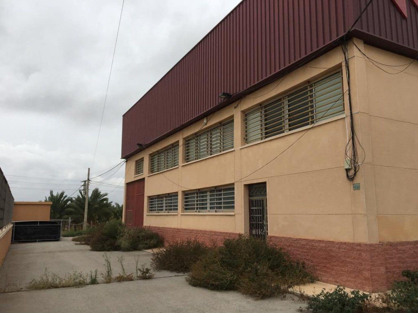 Bedrift til salgs i Elche / Elx - € 3 100 000 (Ref: 8992740)