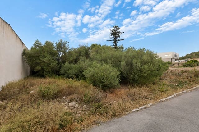 Terreno Não Urbanizado para venda em Felanitx - 700 000 € (Ref: 10019753)