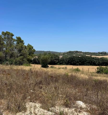 Terreno Não Urbanizado para venda em Manacor - 220 000 € (Ref: 10076900)