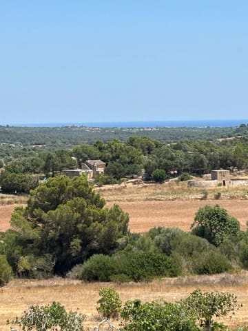 Terreno Não Urbanizado para venda em Manacor - 220 000 € (Ref: 10076900)