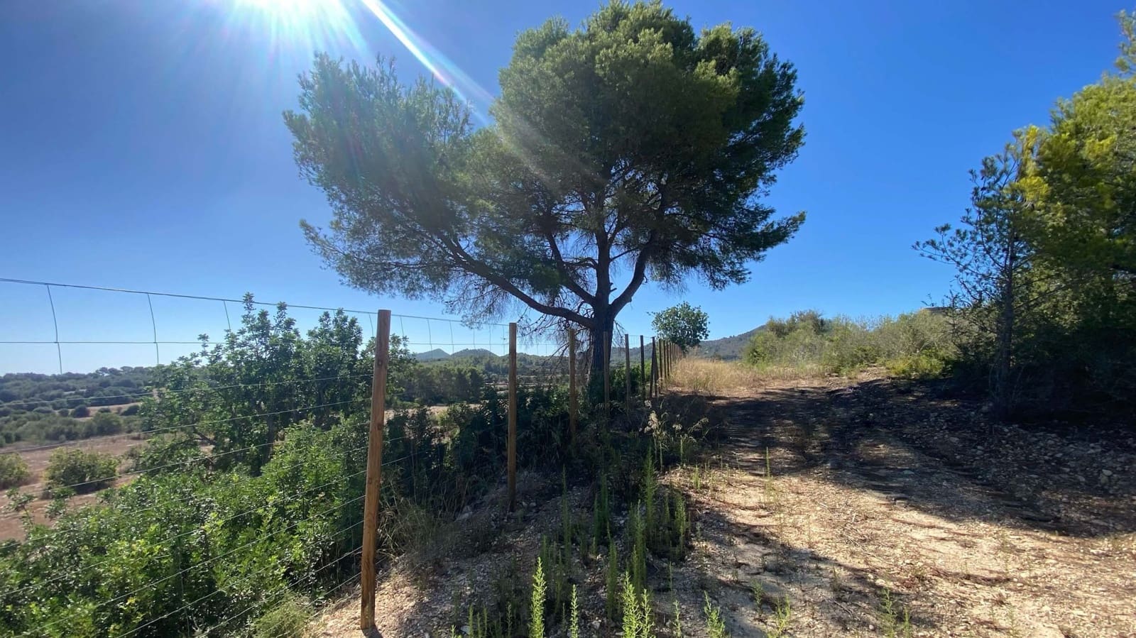 Landgrundstück zu verkaufen in Manacor - 220.000 € (Ref: 10076900)