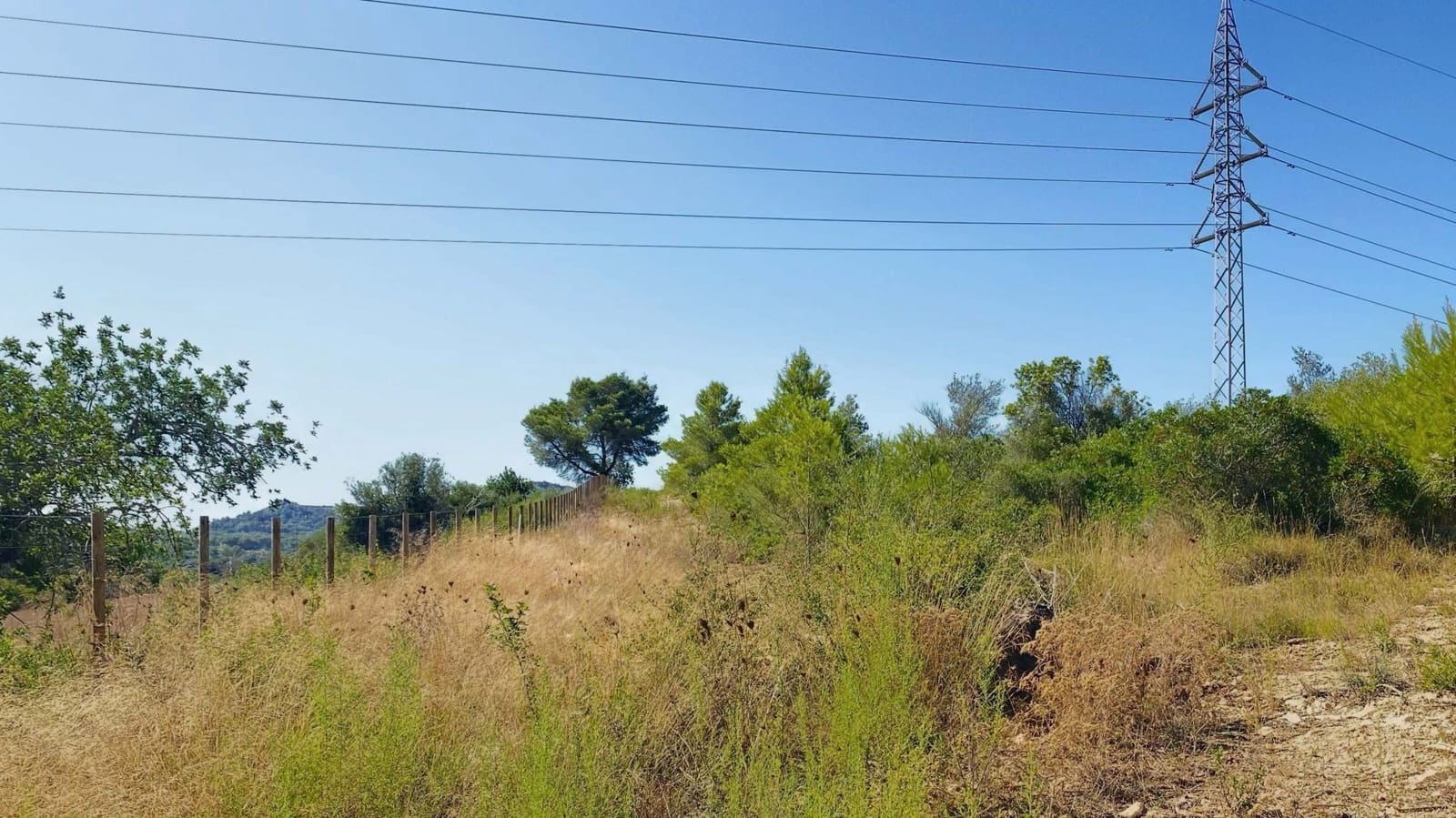 Landgrundstück zu verkaufen in Manacor - 220.000 € (Ref: 10076900)