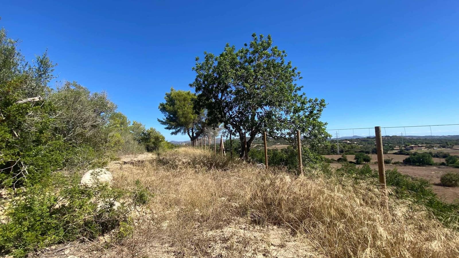 Landgrundstück zu verkaufen in Manacor - 220.000 € (Ref: 10076900)
