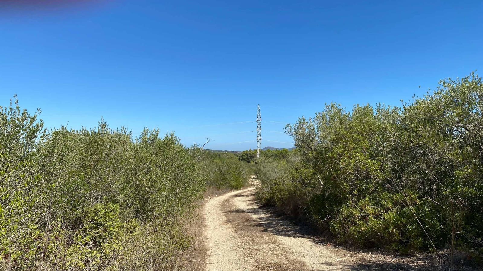 Landgrundstück zu verkaufen in Manacor - 220.000 € (Ref: 10076900)