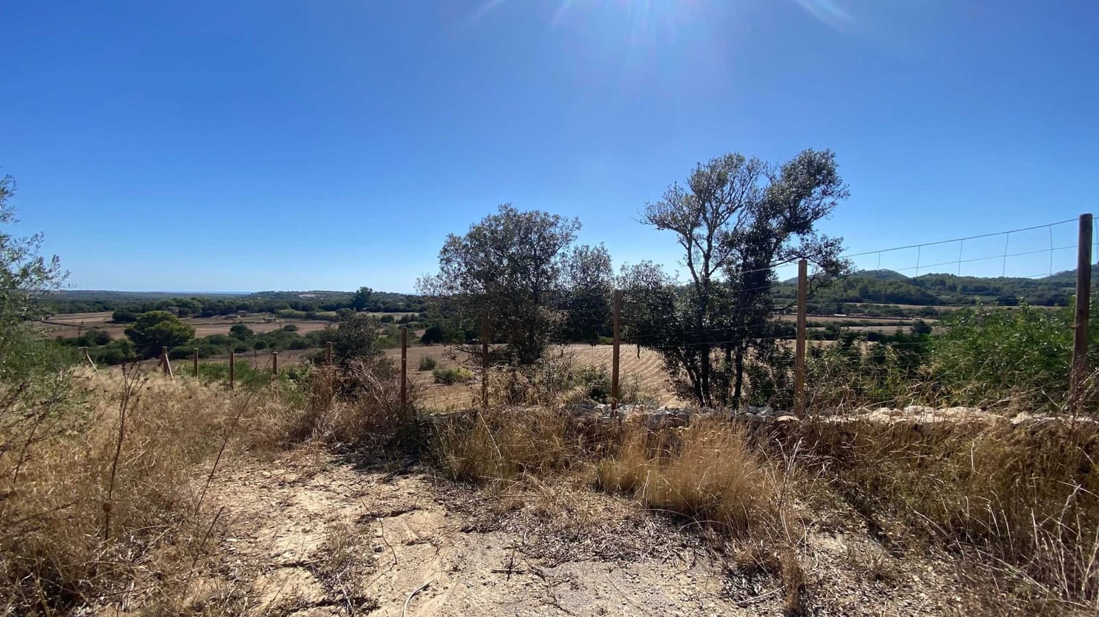 Landgrundstück zu verkaufen in Manacor - 220.000 € (Ref: 10076900)