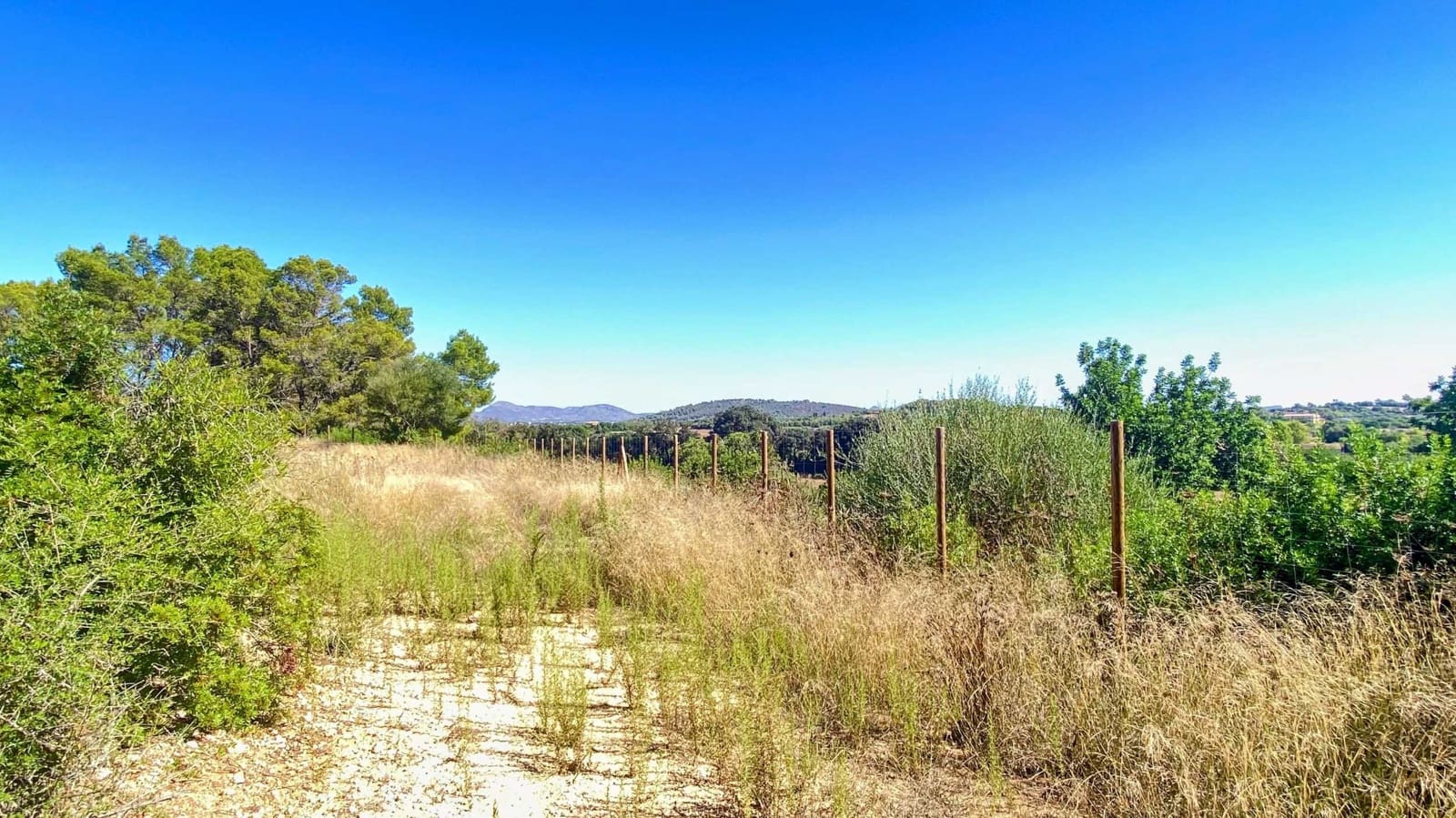 Landgrundstück zu verkaufen in Manacor - 220.000 € (Ref: 10076900)