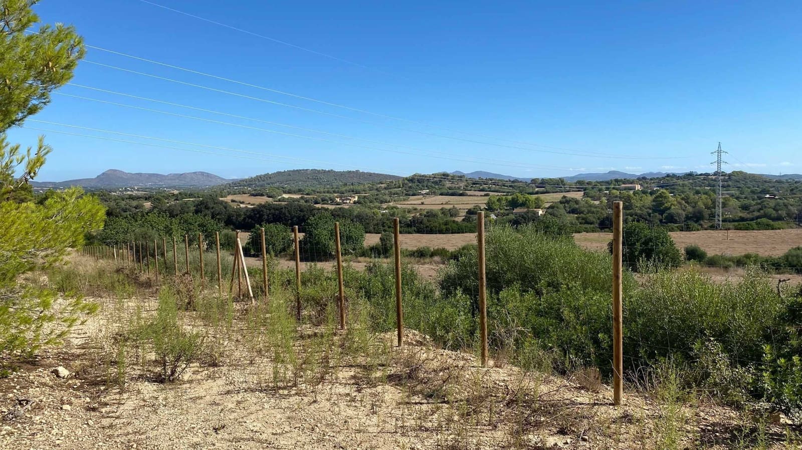 Landgrundstück zu verkaufen in Manacor - 220.000 € (Ref: 10076900)