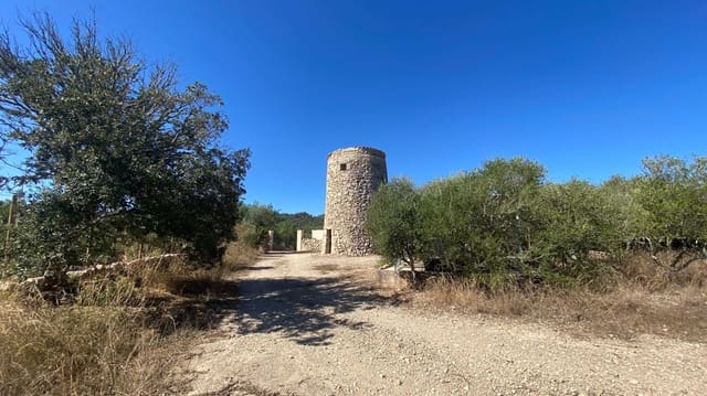 Terreno Não Urbanizado para venda em Manacor - 220 000 € (Ref: 10076900)